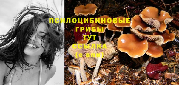 бошки Михайловка