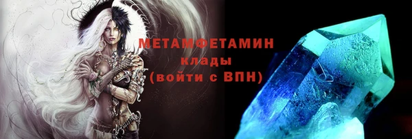 ПСИЛОЦИБИНОВЫЕ ГРИБЫ Михайлов