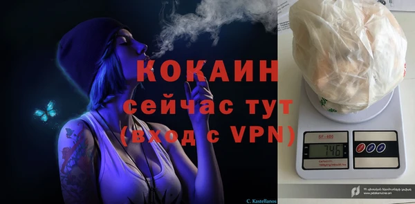 ПСИЛОЦИБИНОВЫЕ ГРИБЫ Михайлов