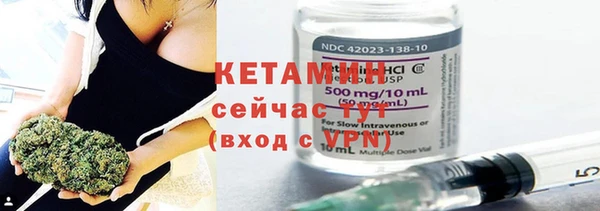 ПСИЛОЦИБИНОВЫЕ ГРИБЫ Михайлов