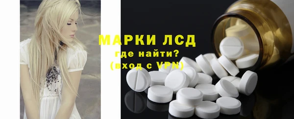 ПСИЛОЦИБИНОВЫЕ ГРИБЫ Михайлов