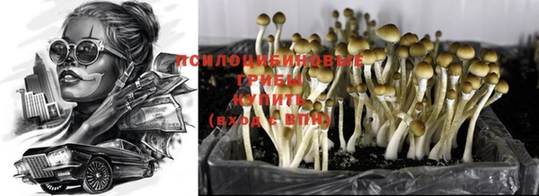 бошки Михайловка