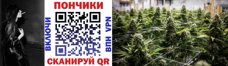 Бошки марихуана сатива KRAKEN как зайти Порхов
